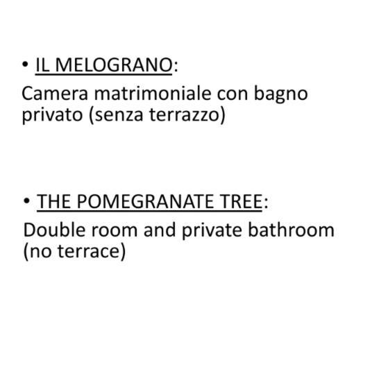 Radici *